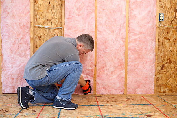 Best Geographic-Specific Insulation Services in Selinsgrove, PA