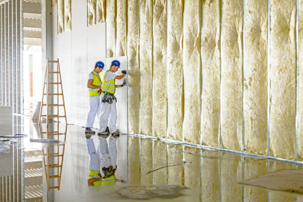Types of Insulation We Offer in Selinsgrove, PA